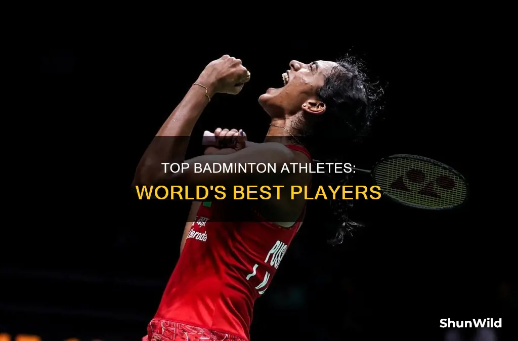 who are the best badminton players in the world