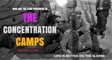 Unveiling the Forgotten: Cam Prisoners in Concentration Camps