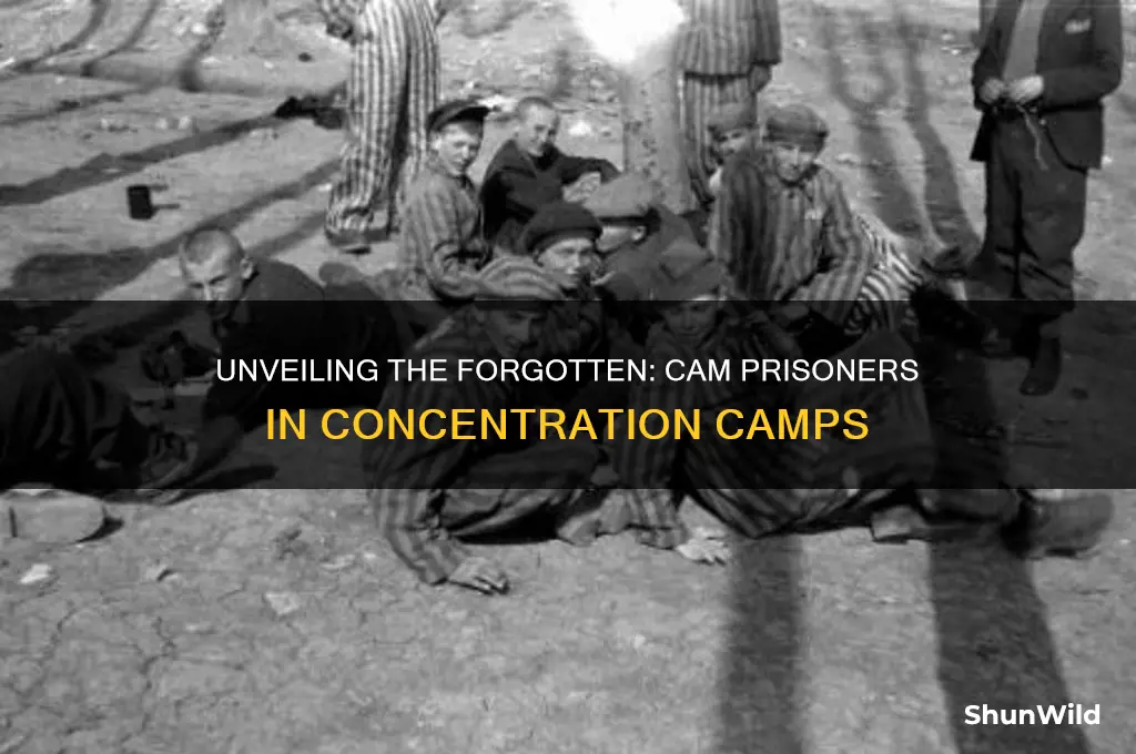 who are the cam prisoners in the concentration camps