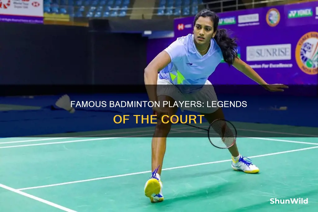 who are the famous badminton players