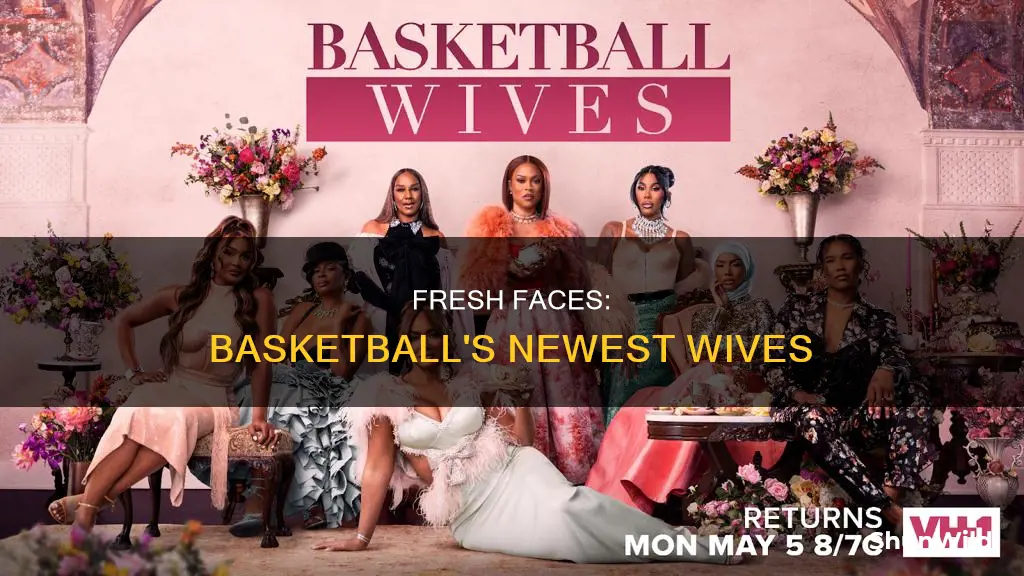 who are the new basketball wives