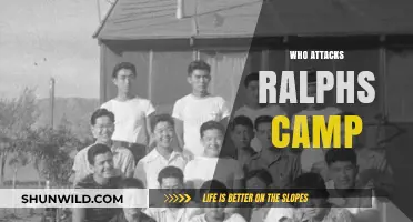 Unveiling the Culprits: Who's Behind the Attacks on Ralph's Camp?