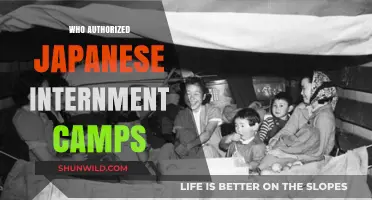 Unveiling the Truth: Who Authorized Japanese Internment Camps?