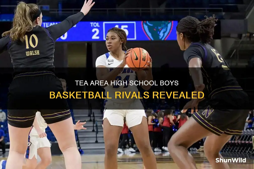 who beat tea area high school in boys basketball