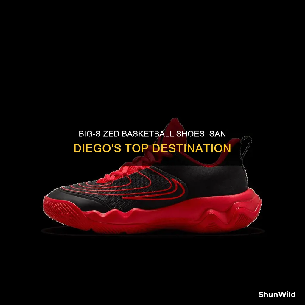 who big size basketball shoes in san diego