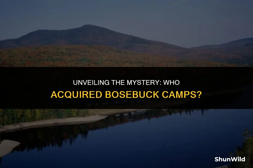who bought bosebuck camps