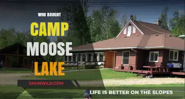 Unveiling the New Owners of Camp Moose Lake: A Surprising Reveal!