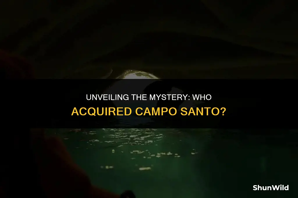 who bought campo santo