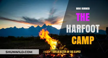 Unveiling the Mystery: Who Burned the Harfoot Camp?