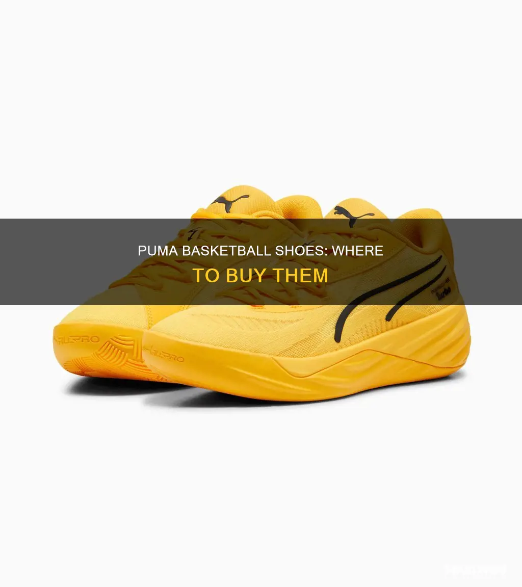 who carries puma basketball shoes