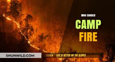 Unraveling the Mystery: Who Sparked the Devastating Camp Fire?