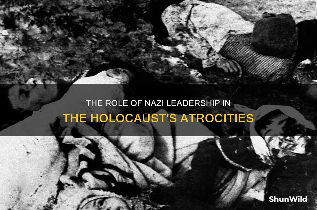 who caused the jews to be sent to concentration camps