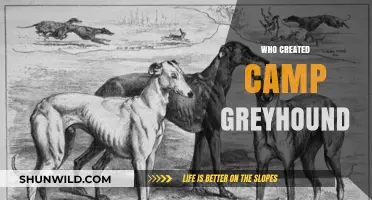 Unveiling the Origins: The Story Behind Camp Greyhound's Creation