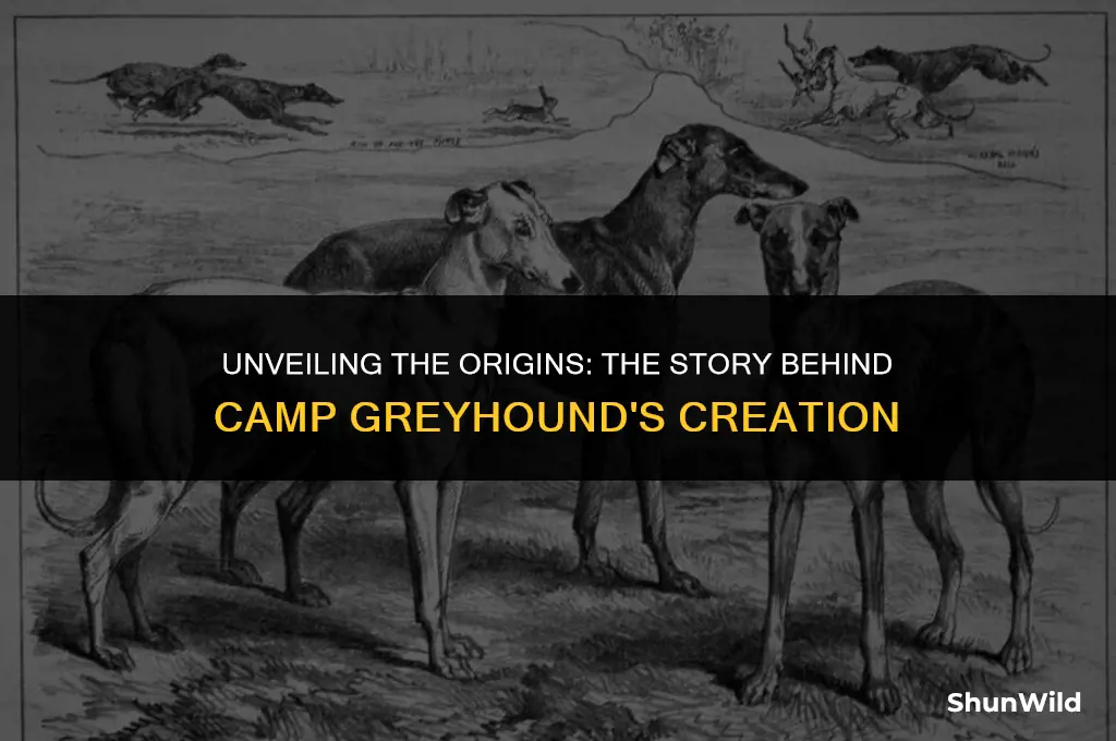 who created camp greyhound