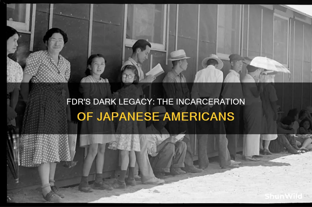 who did fdr put in concentration camps