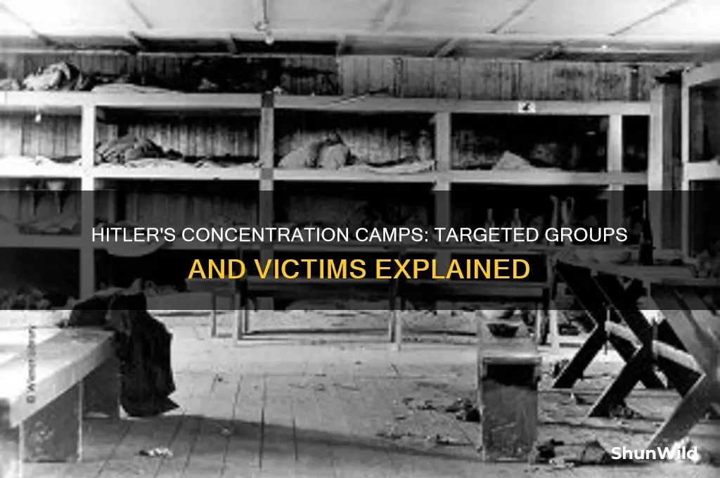 who did hitler put in concentration camps