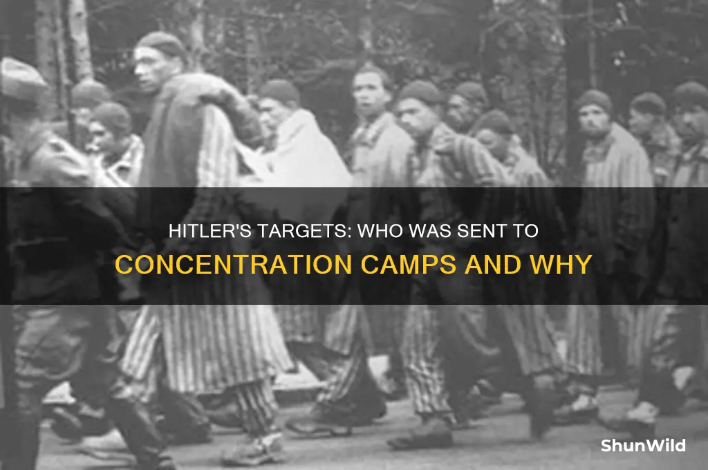 who did hitler want in concentration camps