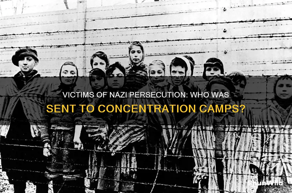 who did nazis sent to concentration camps