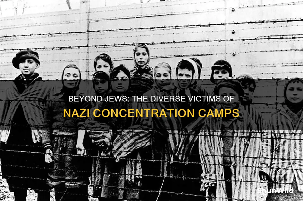 who did the nazis also take in the concentration camps