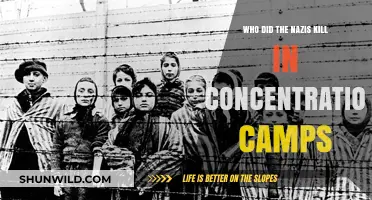 Nazi Concentration Camps: Victims, Targeted Groups, and the Holocaust's Toll
