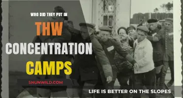 Who Was Imprisoned in Concentration Camps: A Historical Overview