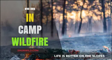 Tragic Losses: Remembering the Victims of Camp Wildfire
