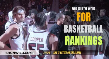 Who Votes for Basketball Power Rankings?