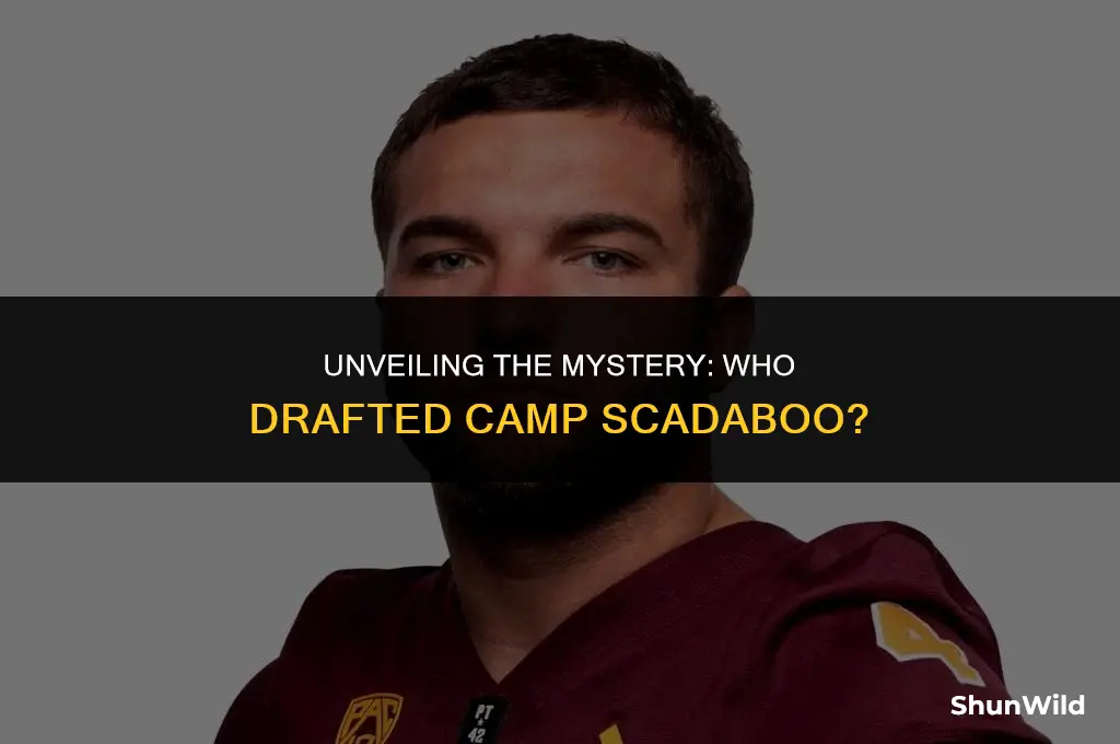 who drafted camp scadaboo