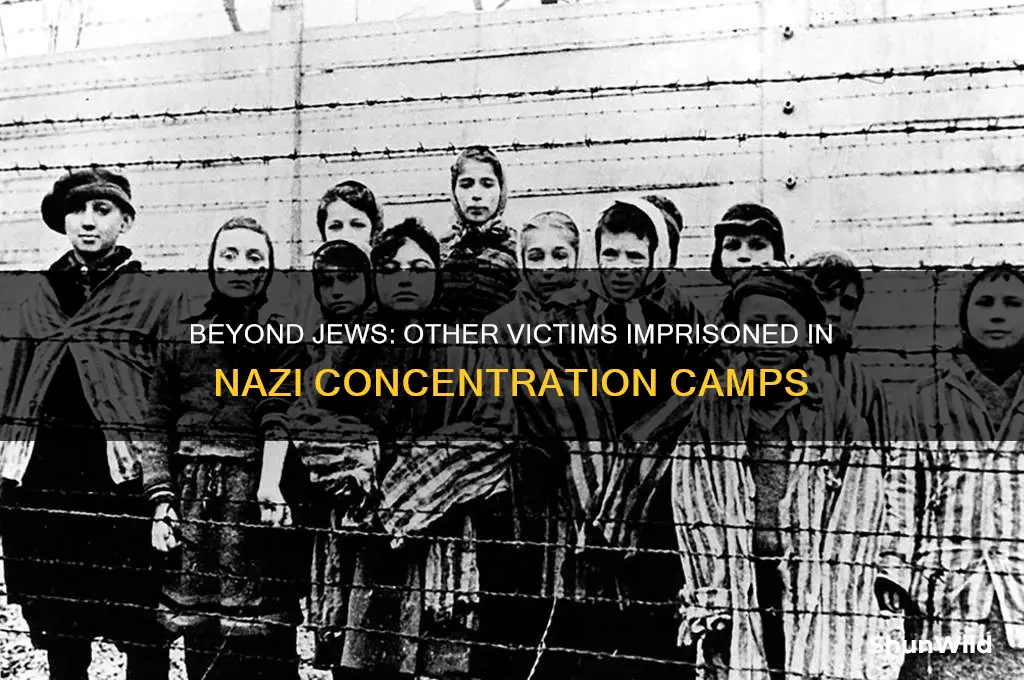 who else was put in nazi concentration camps