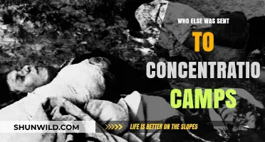 Beyond Jews: Other Groups Targeted and Sent to Concentration Camps