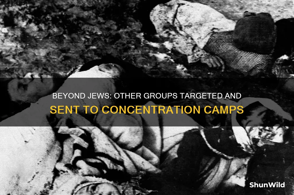 who else was sent to concentration camps