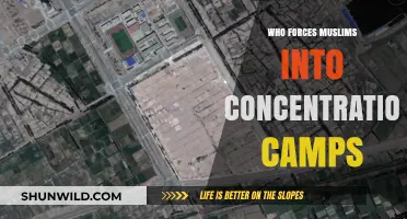 China's Persecution: Uyghur Muslims in Xinjiang Concentration Camps