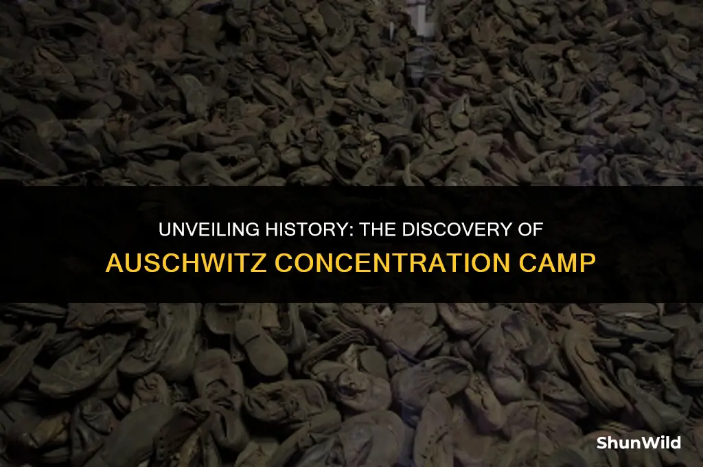 who found auschwitz camp