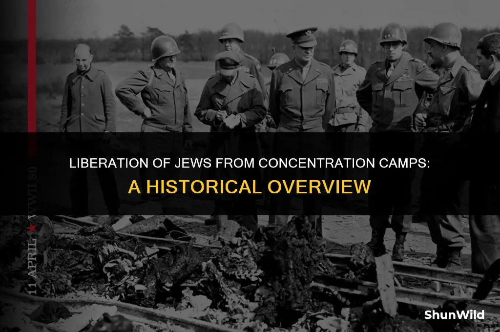 who freed jews from camps