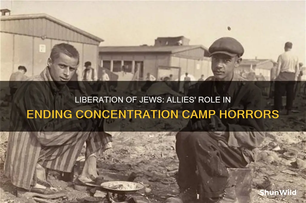 who freed the jews in concentration campa