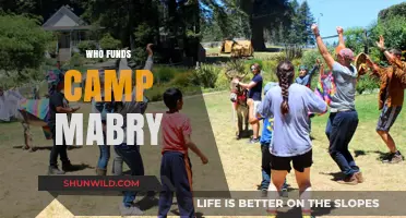 Unveiling the Financial Backers of Camp Mabry: A Comprehensive Guide