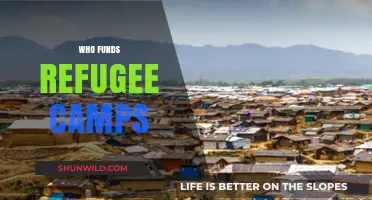 Unveiling the Financial Sources Behind Refugee Camp Operations