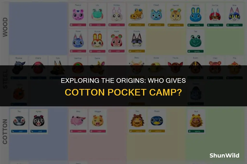 who gives cotton pocket camp