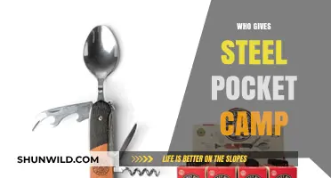 Unveiling the Mystery: Who's Behind Steel Pocket Camp?