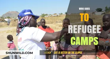 Understanding Refugee Camps: Who Resides and Why