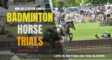 Badminton Horse Trials: Yellow Card Offenders