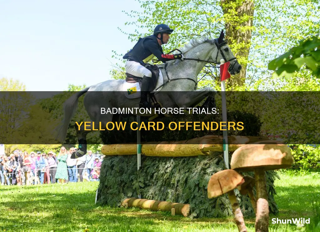 who got a yellow card at badminton horse trials