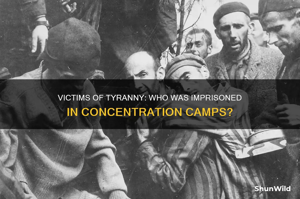 who got locked up in concentration camp