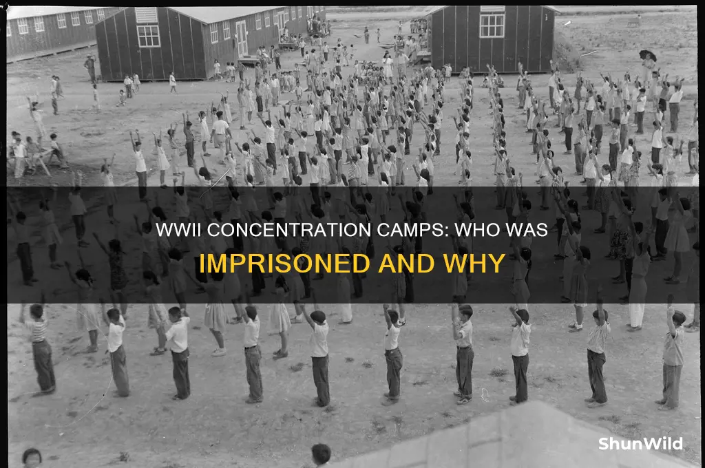 who got put into concentration camps during wwii