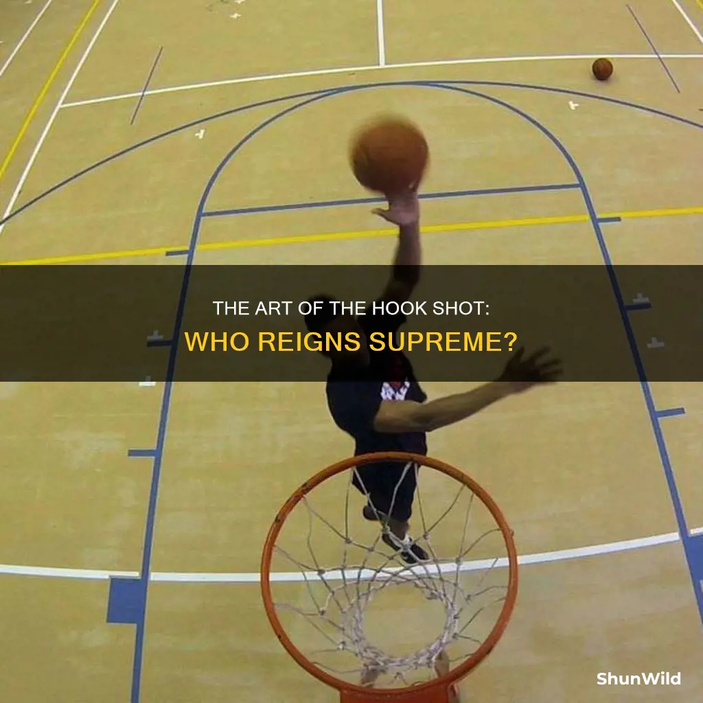 who has the best hook shot in basketball