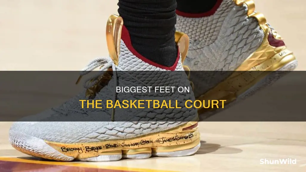 who has the biggest shoe size in basketball
