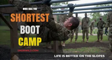 Quickest Military Boot Camps: Which Branch Offers the Shortest Training?