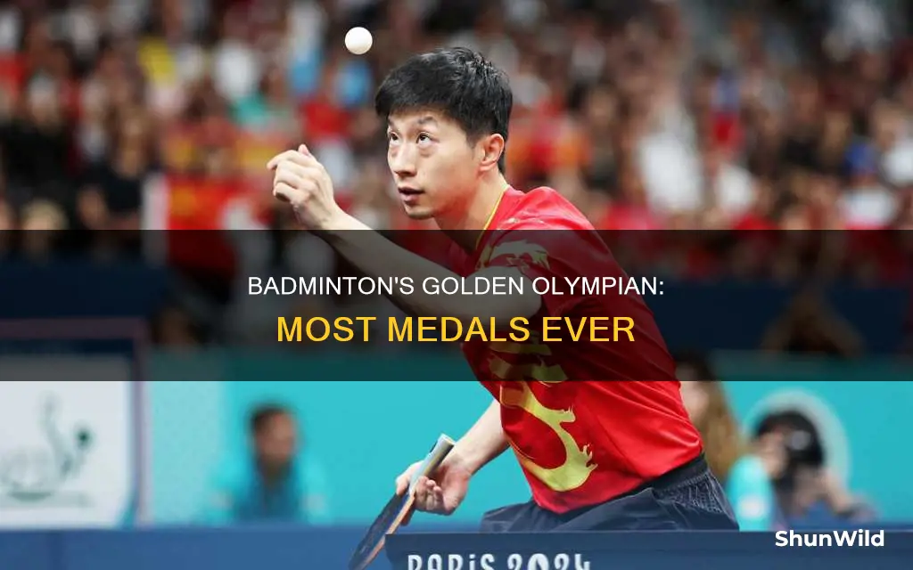who has won the most olympic gold medal in badminton