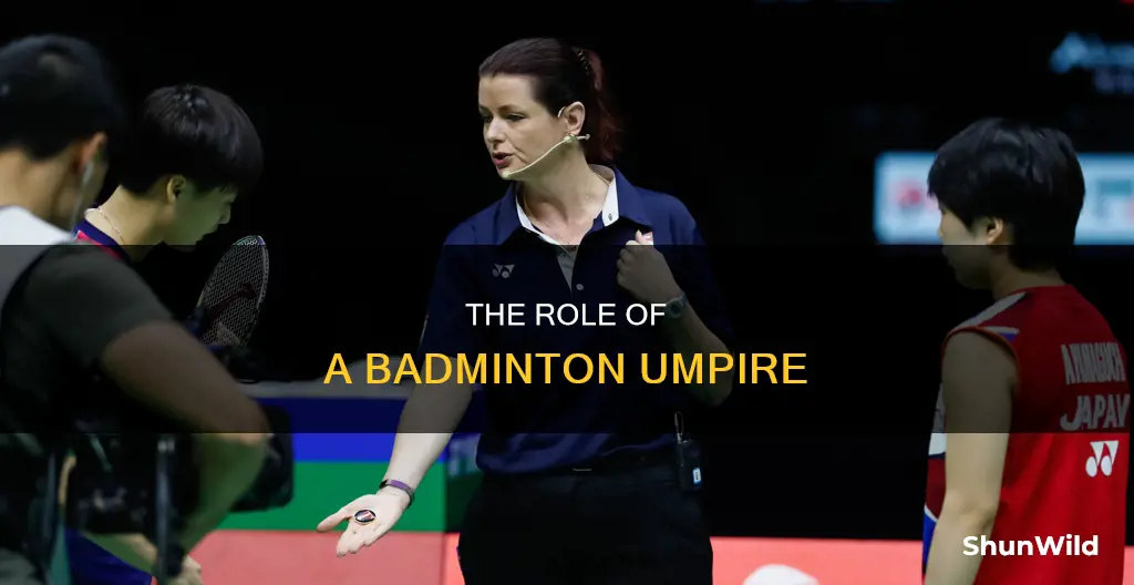 who is an umpire in badminton