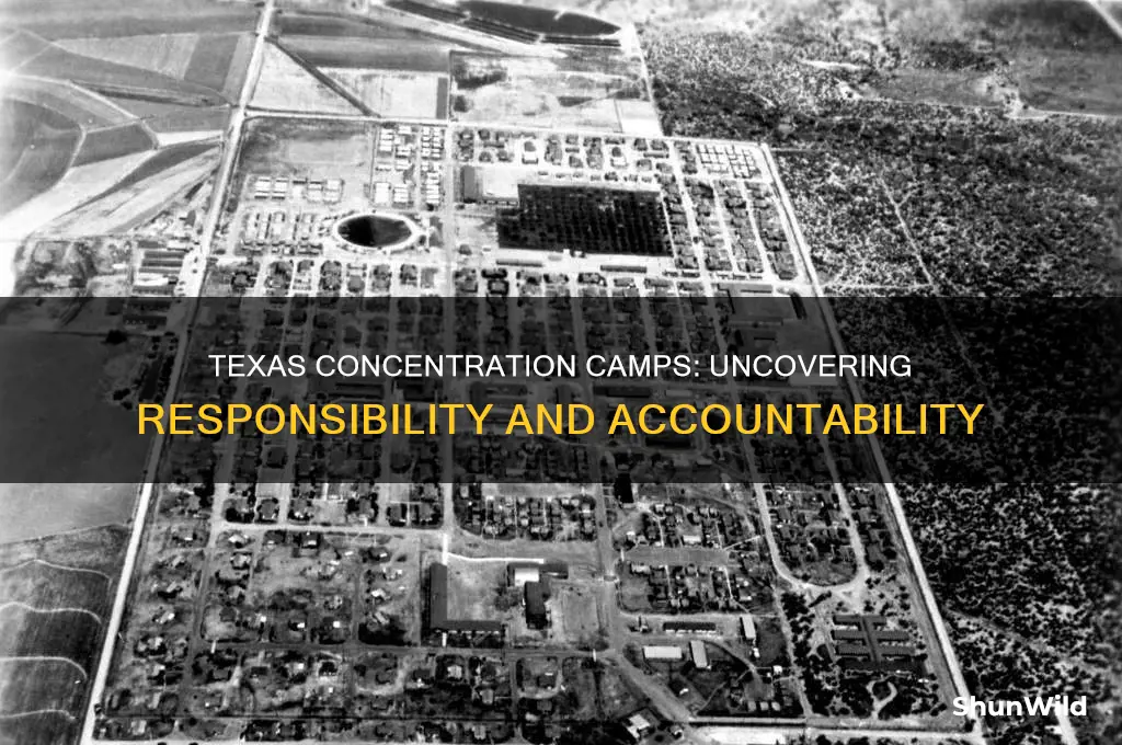 who is at fault for texas concentration camps